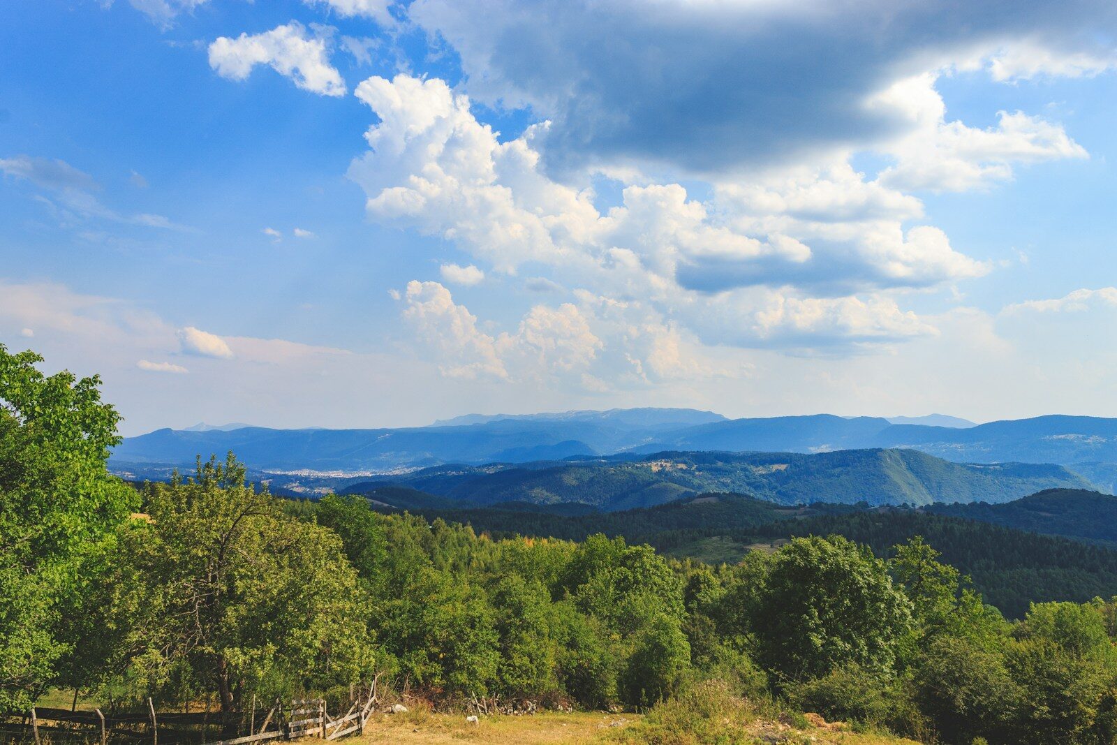 a scenic view of the mountains and trees